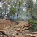 秒伐木場藤野貿易MRO綜合服務商視頻展示