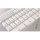 三豐藤野貿易代理 日本三豐MITUTOYO單體英制型矩形量塊613213