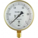 第一計(jì)器 DAIICHI KEIKI  HNT-341A-1MPA 通用壓力計(jì)
