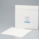 Whatman  3MM Chr 60 60 色紙用紙角型