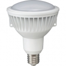 HATAYA  LED-42WW ハタヤ　４２Ｗ　ＬＥＤ電球　口金Ｅ３９　晝光色