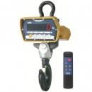 AND 艾安得 FJT15I起重機(jī)容量1500KG