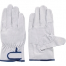 FUJI GLOVE 富士手套 5993-手套EX-232右手1張LL