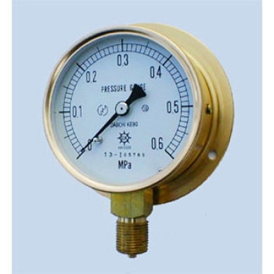 第一計器 DAIICHI KEIKI  HNT-341B-2MPA 通用壓力計
